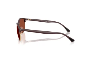 Seitenansicht Ray-Ban RB4469 (64451B)