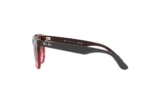 Seitenansicht Ray-Ban IRIS (RB4471 - 663113)