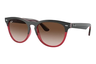 Vorderansicht Ray-Ban IRIS (RB4471 - 663113)