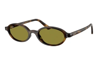 Vorderansicht Ray-Ban RB4472 (1359/2)
