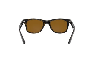 Rückansicht Ray-Ban RB4640 (710/33)