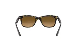 Rückansicht Ray-Ban RB4640 (710/M2)