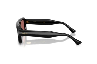 Seitenansicht Ray-Ban RB4954 (601/69)