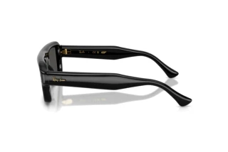 Seitenansicht Ray-Ban RB4954 (601/87)