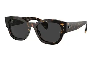 Ray-Ban RB7681S 902/48