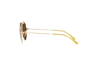 Seitenansicht Ray-Ban RB8063 (9205AN)