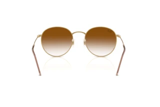 Rückansicht Ray-Ban ROUND REVERSE (RBR0103S - 001/CB)