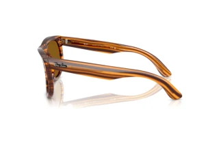 Seitenansicht Ray-Ban WAYFARER REVERSE (RBR0502S - 679183)