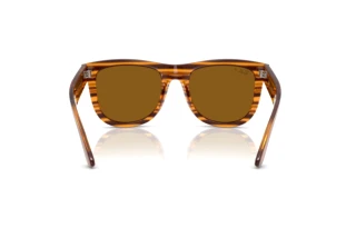 Rückansicht Ray-Ban WAYFARER REVERSE (RBR0502S - 679183)