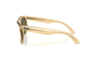 Seitenansicht Ray-Ban WAYFARER REVERSE (RBR0502S - 68215A)