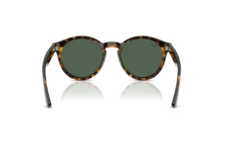 Rückansicht Ray-Ban RBR0505S (6790VR)