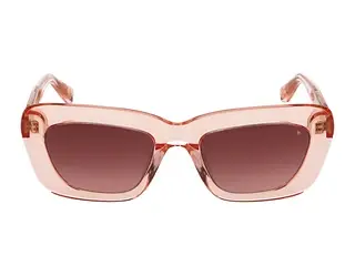 Seitenansicht Scotch and Soda 507037 (236)