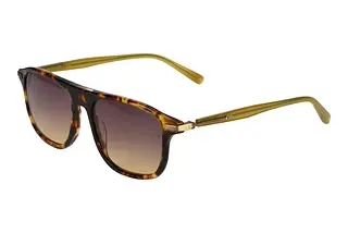 Scotch and Soda 508013 102 Grau VerlaufBraun
