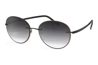 Silhouette Accent Shades 8720 6040