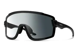 Smith WILDCAT 003/2W CLEAR PHOTOCHROMIC GREY HC OLEOPHOBICSCHWARZ