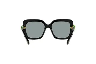 Rückansicht Swarovski SK6001 (1001/1)