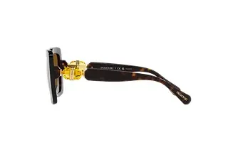 Seitenansicht Swarovski SK6001 (100283)