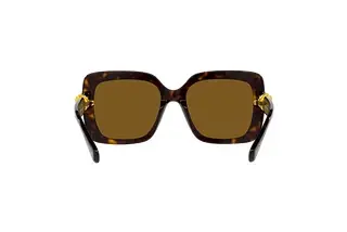 Rückansicht Swarovski SK6001 (100283)