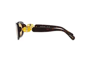 Seitenansicht Swarovski SK6002 (1002/8)