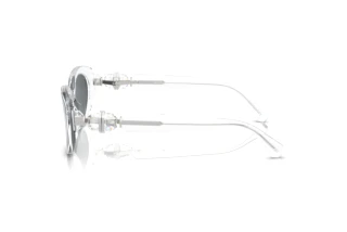 Seitenansicht Swarovski SK6002 (102787)