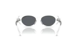Rückansicht Swarovski SK6002 (102787)
