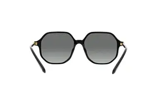 Rückansicht Swarovski SK6003 (100111)