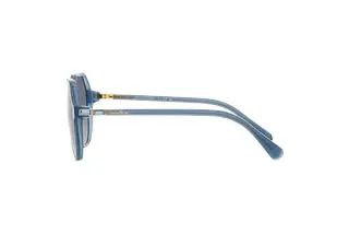 Seitenansicht Swarovski SK6003 (10354L)