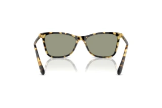 Rückansicht Swarovski SK6004 (1009/2)