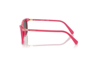 Seitenansicht Swarovski SK6004 (103687)