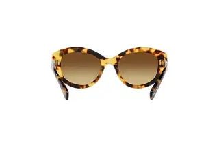 Rückansicht Swarovski SK6005 (100913)