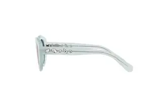 Seitenansicht Swarovski SK6005 (10244L)