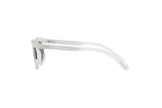 Seitenansicht Swarovski SK6006 (10336G)