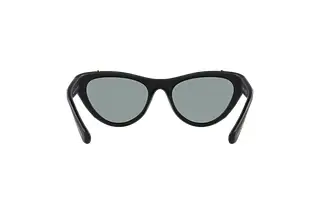 Rückansicht Swarovski SK6007 (1020/1)