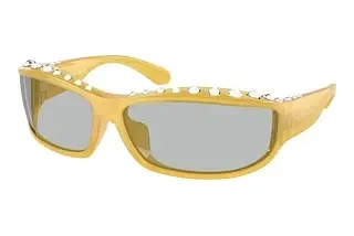 Vorderansicht Swarovski SK6009 (103087)