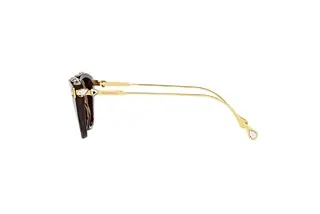 Seitenansicht Swarovski SK6010 (100273)