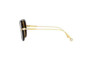 Seitenansicht Swarovski SK6011 (100283)