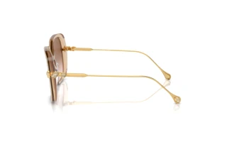 Seitenansicht Swarovski SK6011 (103413)