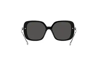 Rückansicht Swarovski SK6011 (103887)