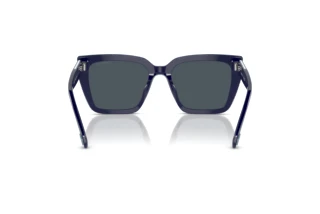 Rückansicht Swarovski SK6013 (101887)