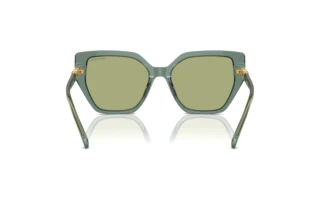 Rückansicht Swarovski SK6016 (104382)