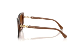 Seitenansicht Swarovski SK6016 (106713)