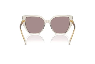 Rückansicht Swarovski SK6016 (3003LA)