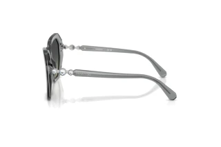 Seitenansicht Swarovski SK6017 (106211)