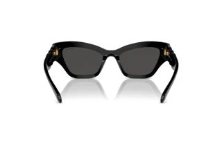 Rückansicht Swarovski SK6021 (100187)