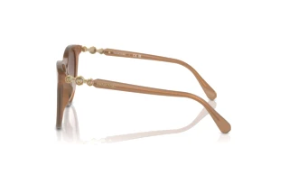 Seitenansicht Swarovski SK6023D (200213)