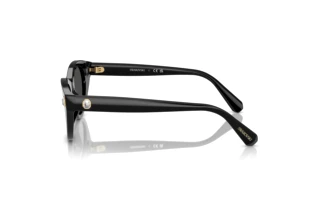 Seitenansicht Swarovski SK6025 (100187)