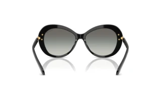 Rückansicht Swarovski SK6026 (100111)