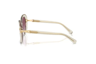 Seitenansicht Swarovski SK6026 (30038H)