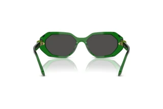 Rückansicht Swarovski SK6028 (106487)