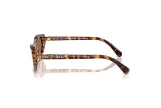 Seitenansicht Swarovski SK6030 (104073)